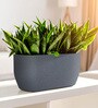 Grey PCTR rectangular 2411 Planter