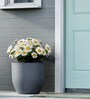 Grey Pcup Round 17 Inches Planter