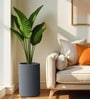 Grey Round Shaped Polymer Planter