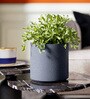 Grey Round Shaped Polymer Planter