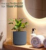 Grey Round Shaped Polymer Planter