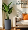 Grey Round Shaped Polymer Planter