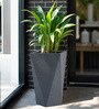 Grey Square Shaped Gey Polymer Floor Planter