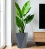 Grey Square Shaped Gey Polymer Floor Planter