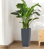 Grey Square Shaped Gey Polymer Floor Planter