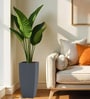 Grey Square Shaped Gey Polymer Floor Planter