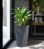 Grey Square Shaped Gey Polymer Floor Planter