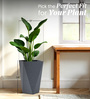 Grey Square Shaped Gey Polymer Floor Planter