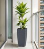 Grey Square Shaped Gey Polymer Floor Planter