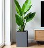 Grey Square Shaped Polymer Floor Planter