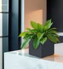 Grey Square Shaped Polymer Floor Planter