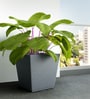 Grey Square Shaped Polymer Floor Planter
