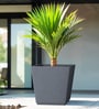 Grey Square Shaped Polymer Floor Planter
