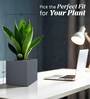 Grey Square Shaped Polymer Floor Planter