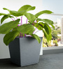Grey Square Shaped Polymer Floor Planter