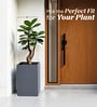 Grey Square Shaped Polymer Floor Planter