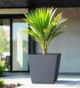 Grey Square Shaped Polymer Floor Planter