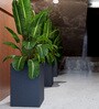 Grey Square Shaped Polymer Floor Planter