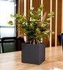 Grey Square Shaped Polymer Floor Planter
