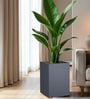 Grey Square Shaped Polymer Floor Planter