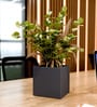 Grey Square Shaped Polymer Floor Planter