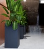 Grey Square Shaped Polymer Floor Planter