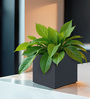 Grey Square Shaped Polymer Floor Planter