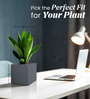 Grey Square Shaped Polymer Floor Planter