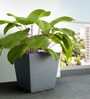 Grey Square Shaped Polymer Floor Planter