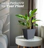 Grey Square Shaped Small Polymer Floor Planter