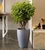 Grey VNR Round 18 Inches Planter