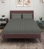 Grey 280 TC Glace Cotton Fitted Bedsheet With Embossed Leaf Pattern