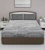 Grey Abstract 180 TC Cotton Queen Sized Bed Sheets with 2 Pillow Covers