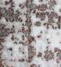 Grey Abstract Polypropylene 4 ft x 6 ft Machine Made Carpet