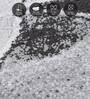 Grey Abstract Polypropylene 7 ft x 5 ft Machine Made Carpet