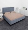 Grey And Pink Floral 210 TC Cotton Queen Sized 1 Double Bedsheet 2 Pillow Covers