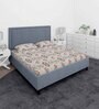 Grey And Red Abstract 210 TC Cotton Queen Sized 1 Double Bedsheet 2 Pillow Covers