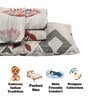 Grey And Red Abstract 210 TC Cotton Queen Sized 1 Double Bedsheet 2 Pillow Covers