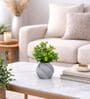 Artificial Plants with Grey  Pot