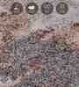 Grey Brown Abstract Polypropylene 11 ft x 8 ft Machine Made Carpet