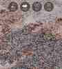 Grey Abstract Polypropylene 6 Ft X 4 Ft Machine Made Carpet