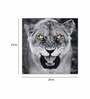 Black Jaguar Grey Canvas Teakwood And MDF Framed Wildlife Art Print