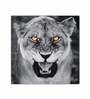 Black Jaguar Grey Canvas Teakwood And MDF Framed Wildlife Art Print