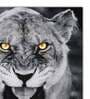 Black Jaguar Grey Canvas Teakwood And MDF Framed Wildlife Art Print
