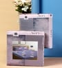 Grey Cartoon 300 TC Cotton Blend Double Bedsheet With 2 Pillow Covers