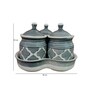 Grey Ceramic  300 ml 3 Pcs Condiments Jars with Tray