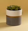 Grey Ceramic  Dual Handpainted Planter
