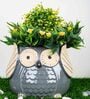 Grey Ceramic Owl Shape Medium Planter