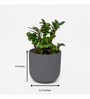 Grey Clay Eco-Friendly Desk Planter