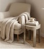 Grey Colour Acrylic Finish Modern Multi-Purpose End Table